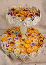 Carica l'immagine nel visualizzatore di Gallery, Mini cup cake